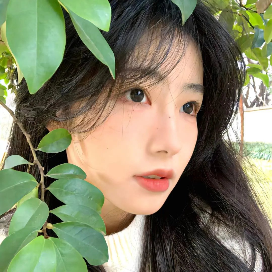 副总统第四季