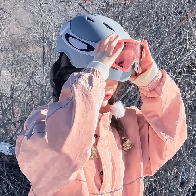 幻梦战记莉达